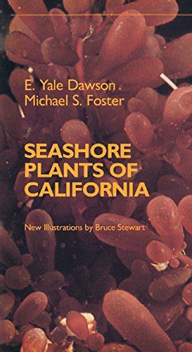 seashore plants of california california natural history guides Doc